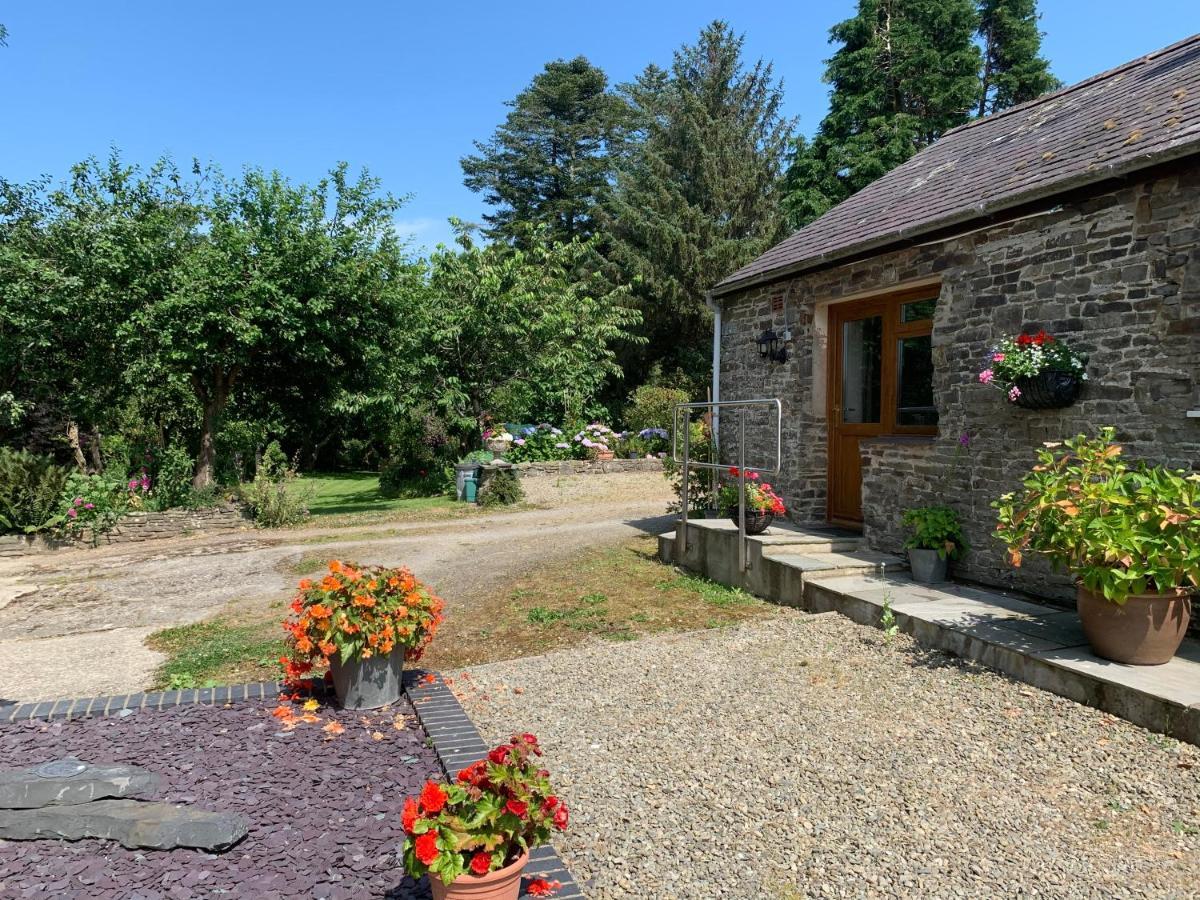 Parc Farm B&B Llanarth  Kültér fotó