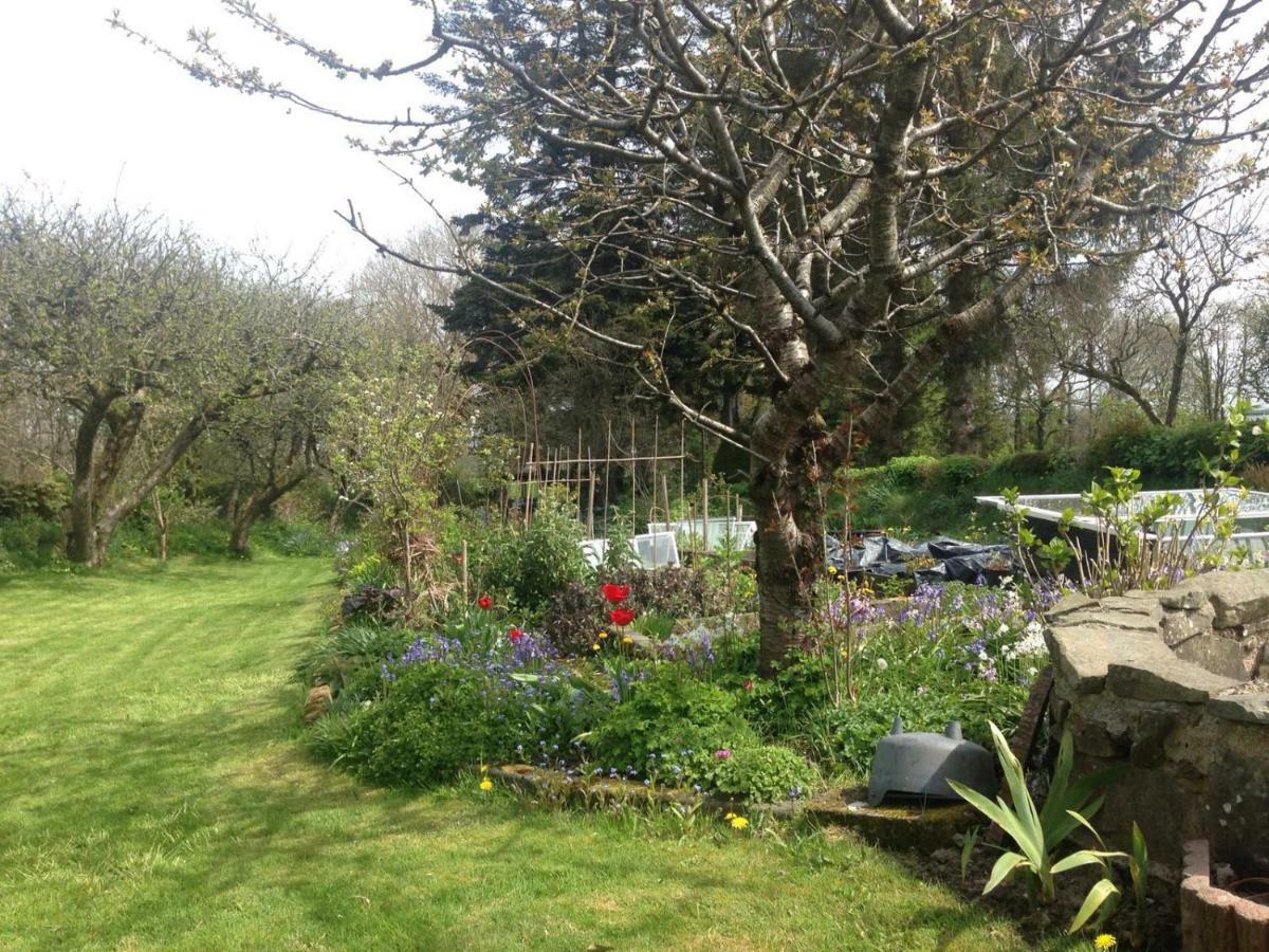 Parc Farm B&B Llanarth  Kültér fotó